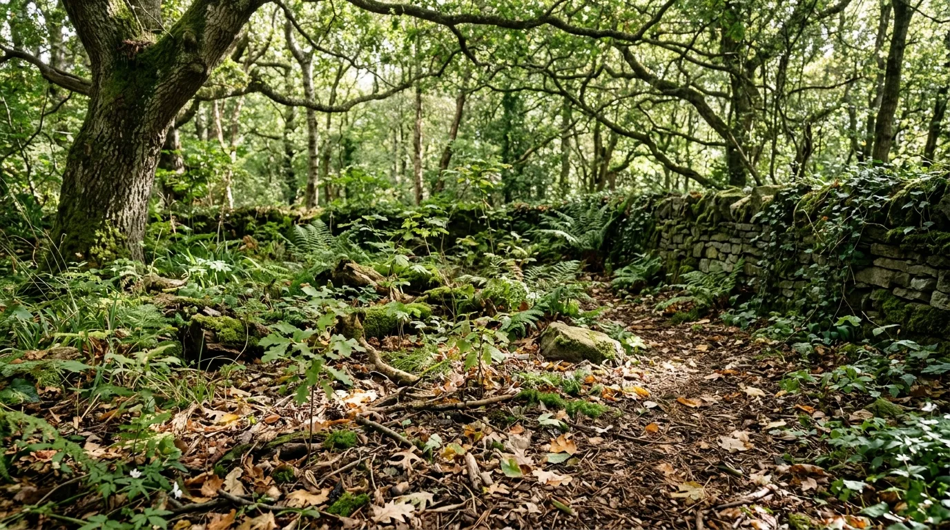 Woodland Corner With Fallen Leaves